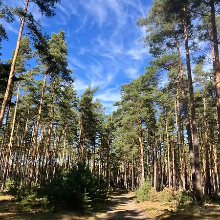 Alte Gaertnerei *